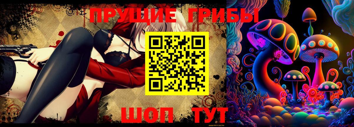 Псилоцибиновые грибы прущие грибы Будённовск