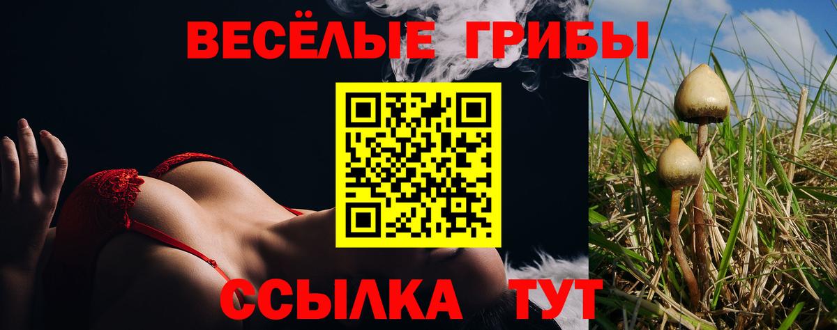 цена наркотик  Псилоцибиновые грибы MAGIC MUSHROOMS  Вход с VPN  Будённовск  Псилоцибиновые грибы мицелий 