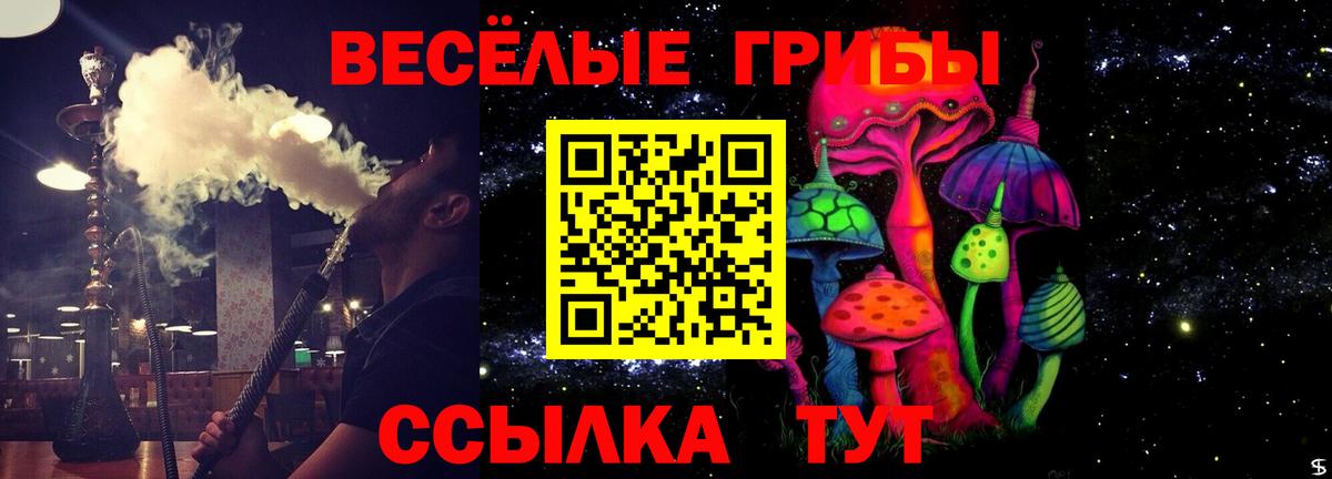 Галлюциногенные грибы прущие грибы Будённовск